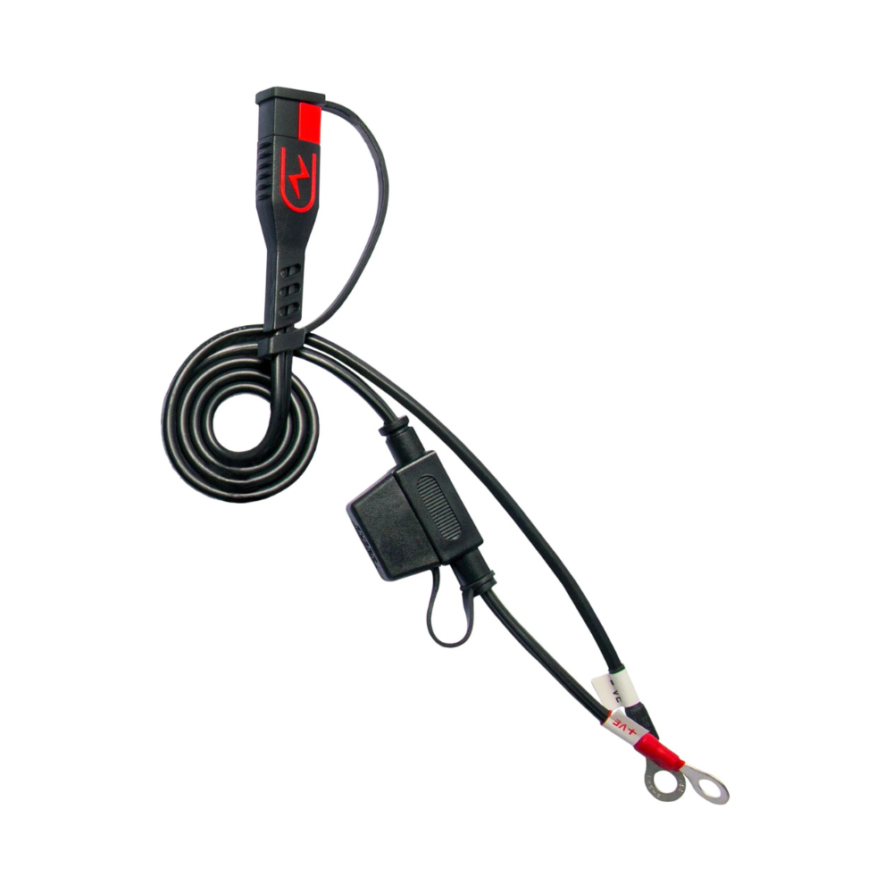 Chargeur et mainteneur de charge BS Battery