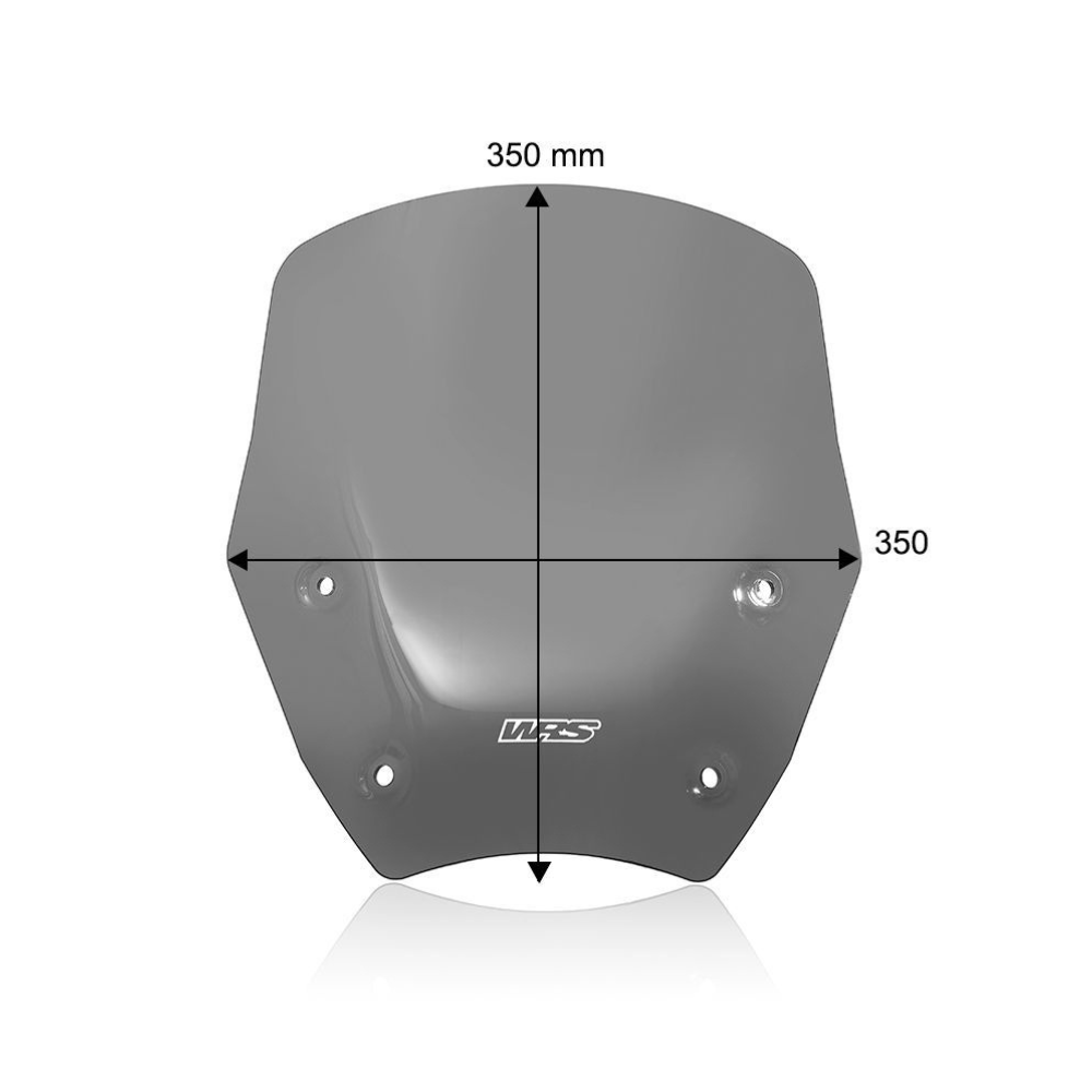 Standard screen with WRS radar BMW 1300 GS