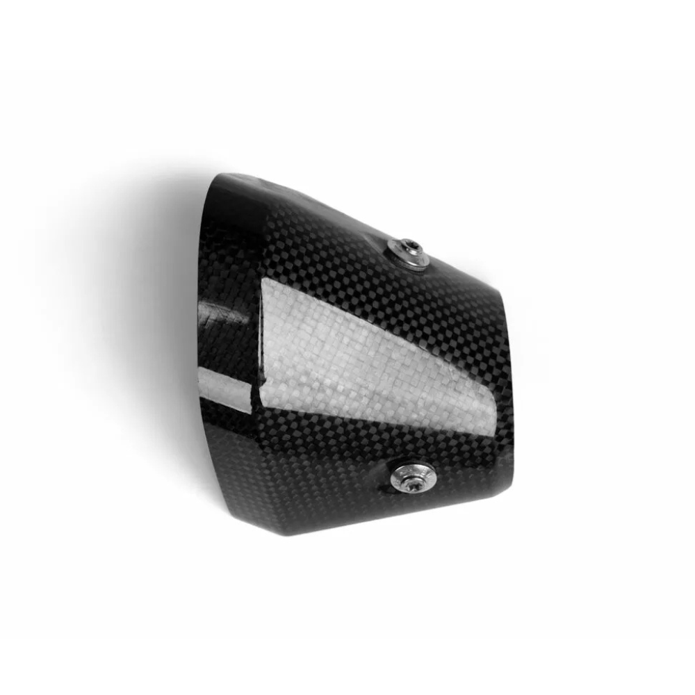 Cache silencieux en carbone Akrapovic BMW R 1300 GS
