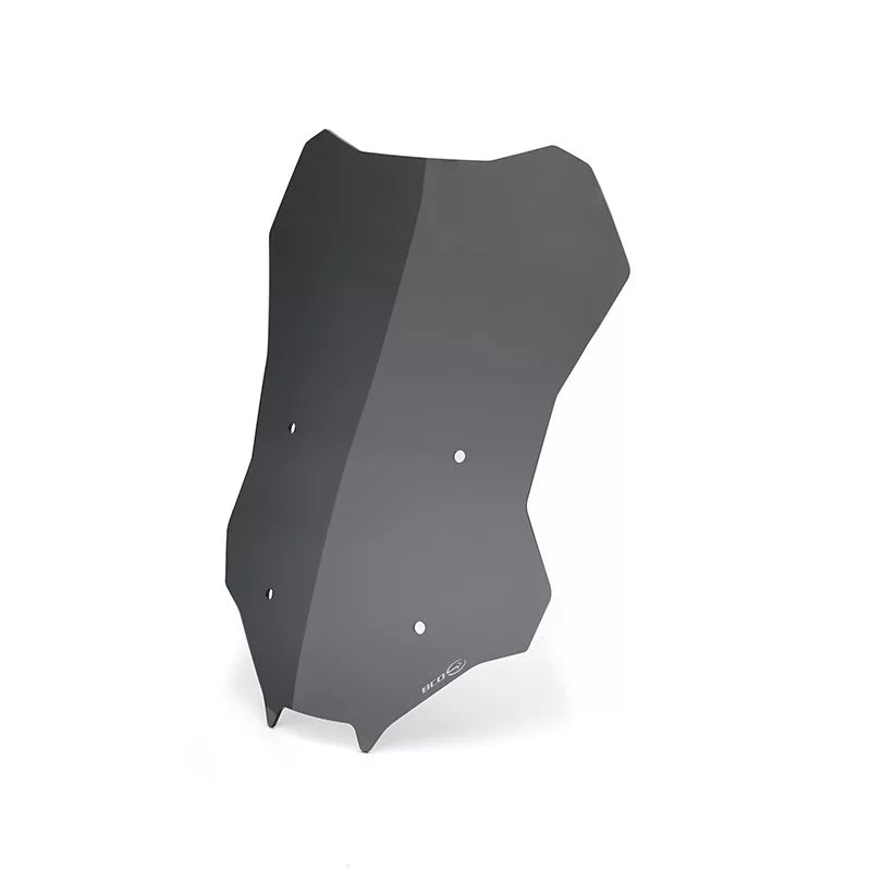 Bulle haute fumée BCD BMW F 900 XR