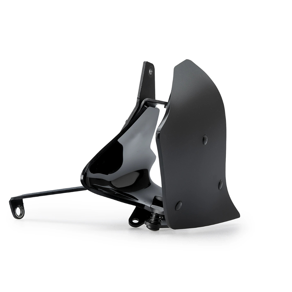 Ailerons latéraux Pista Puig BMW R 1300 GS