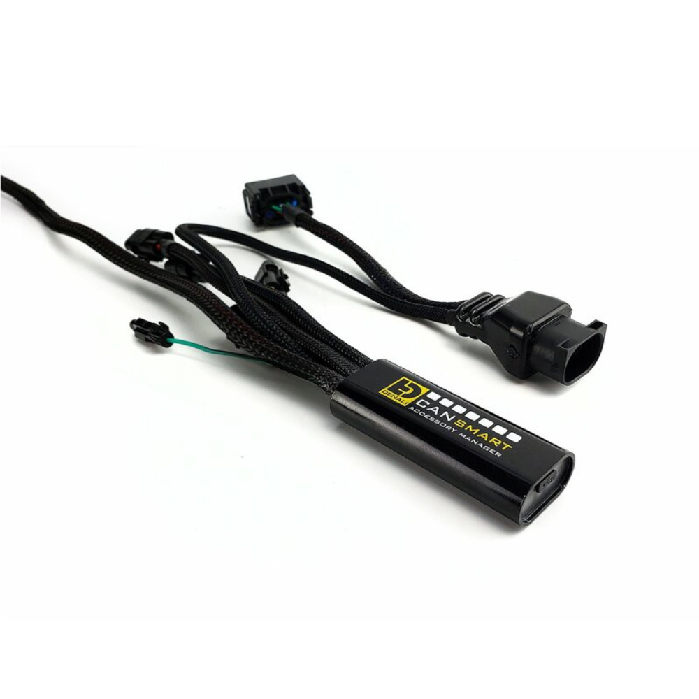 Controlador CANSmart Denali BMW R 1300 GS