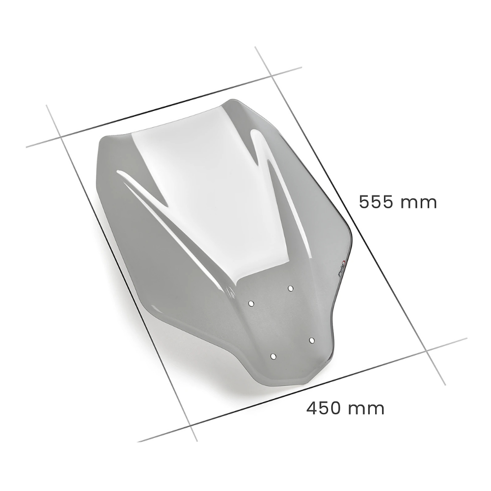 Bulle haute Puig BMW CE-04