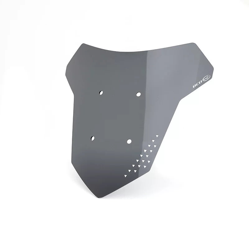 BCD Sport Screen for BMW CE 04 (22-26)