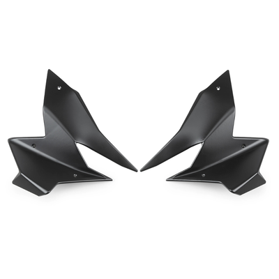 Aileron avant Pista Puig BMW R 1300 GS