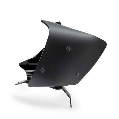 Ailerons latéraux Pista Puig BMW R 1300 GS