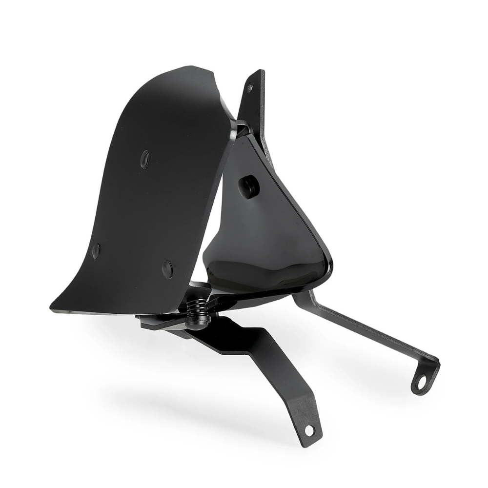 Ailerons latéraux Pista Puig BMW R 1300 GS