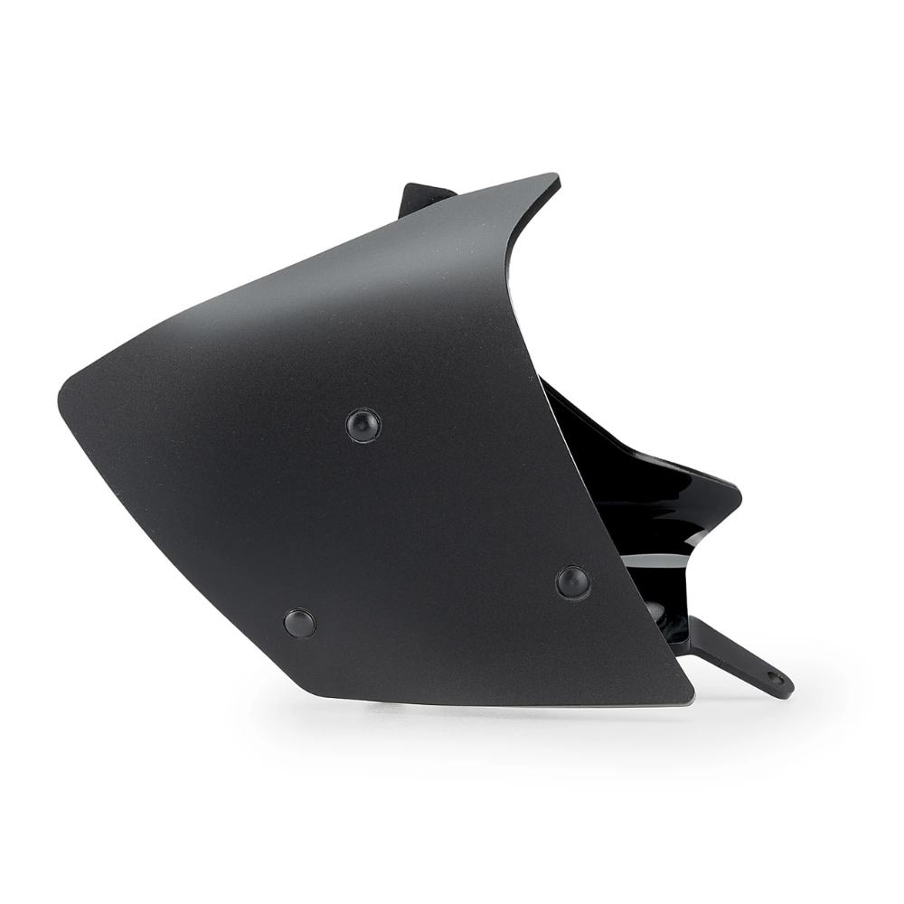Ailerons latéraux Pista Puig BMW R 1300 GS