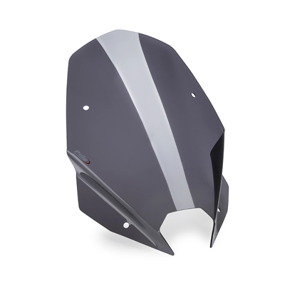 Bulle haute Puig BMW S 1000 R (2025-2026)