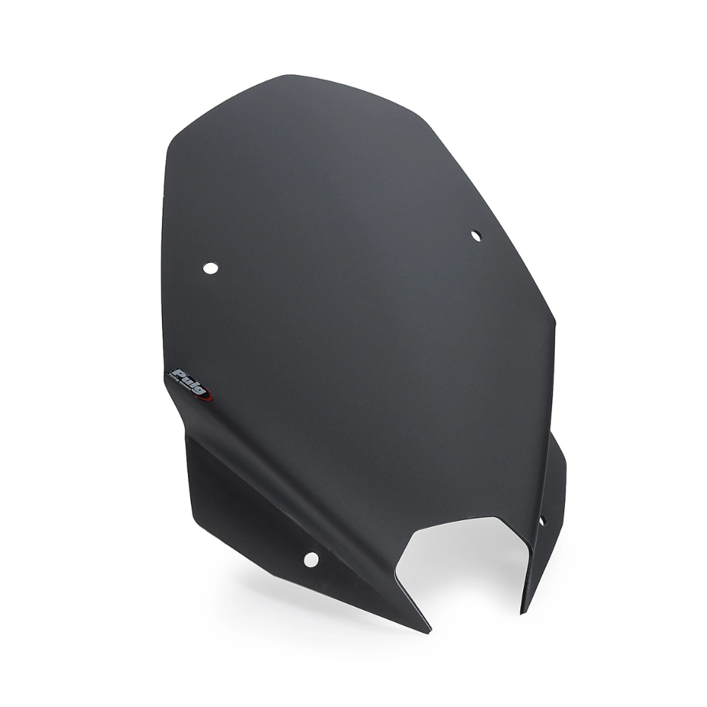 Bulle haute Puig BMW S 1000 R (2025-2026)