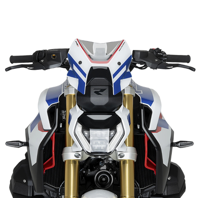 Bulle sport Puig BMW R 1300 R